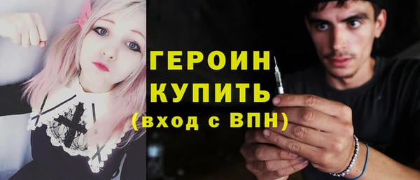 индика Туринск
