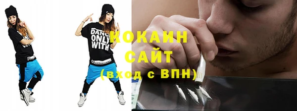 спайс Гусь-Хрустальный
