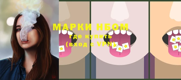 спайс Гусь-Хрустальный