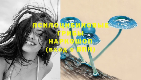 спайс Гусь-Хрустальный
